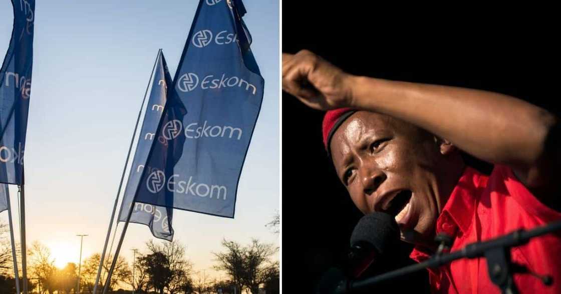 Eskom and Julius Malema Eskom and Julius Malema