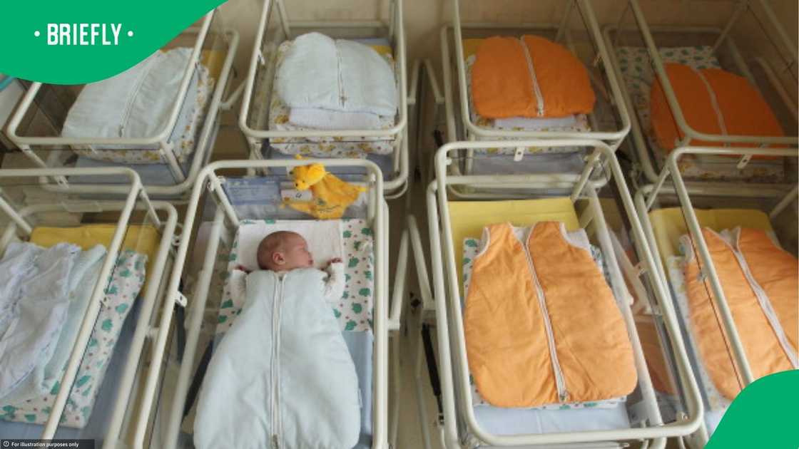 South African women discuss declining birthrate South African women discuss declining birthrate