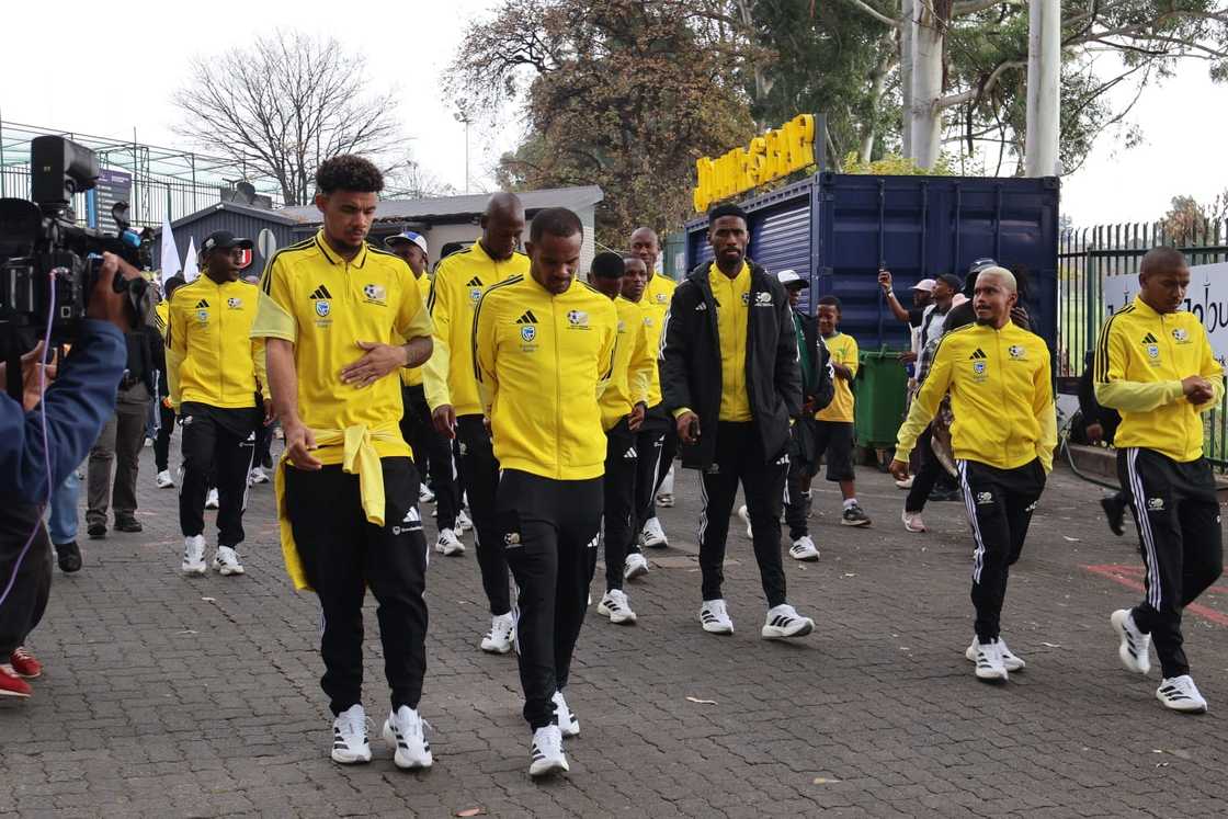 Sizwe Dhlomo says Bafana Bafana would not win the FIFA World Cup. Sizwe Dhlomo says Bafana Bafana would not win the FIFA World Cup.