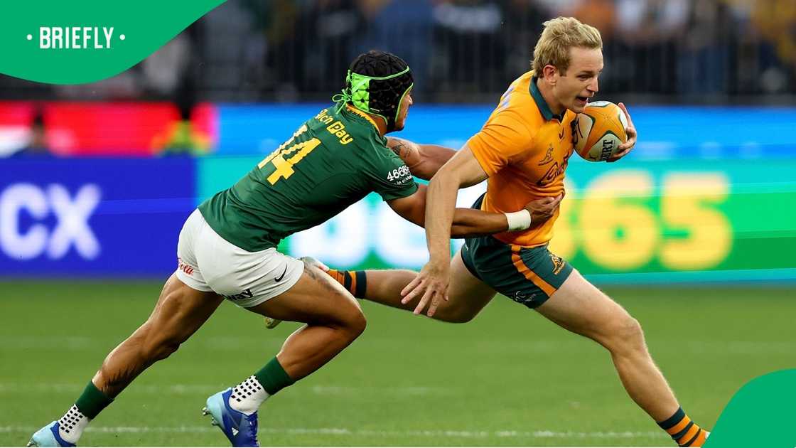 Wallabies vs Springboks