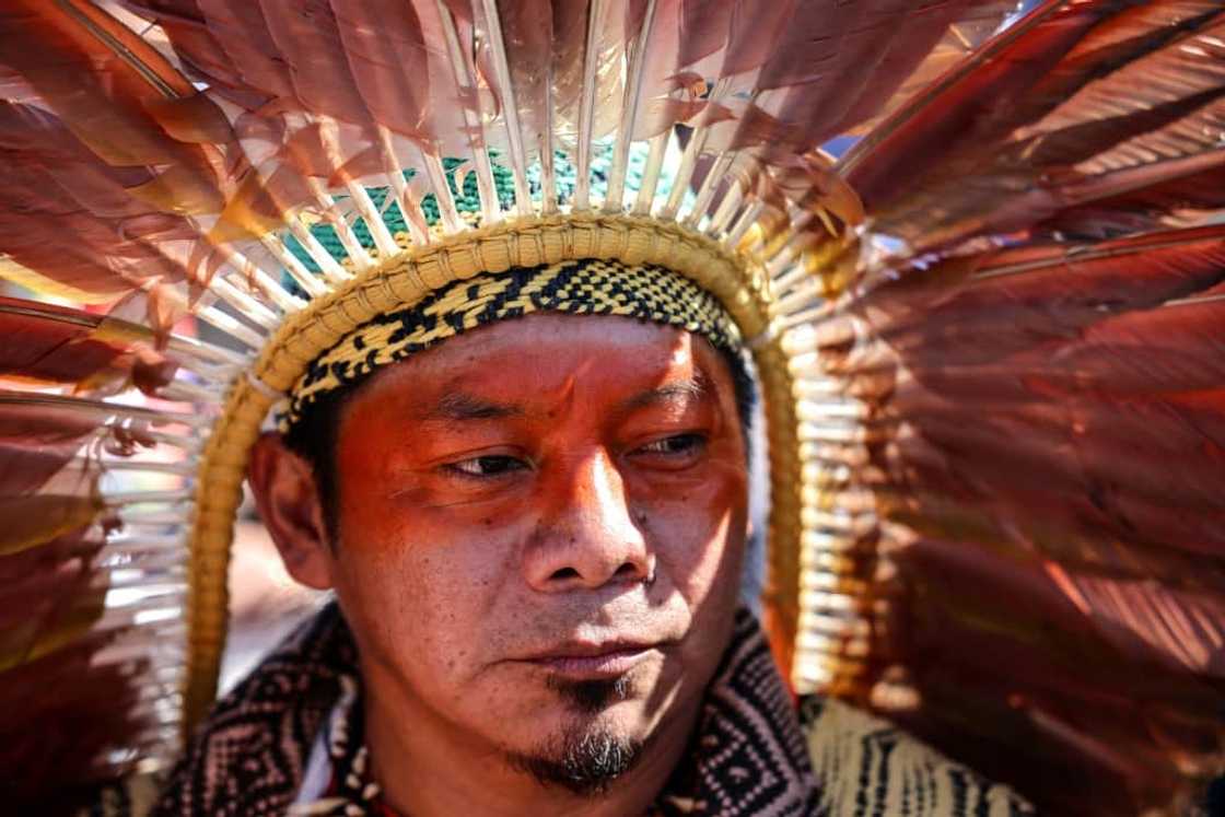 Chief Ninawa is concerned about biopiracy Chief Ninawa is concerned about biopiracy