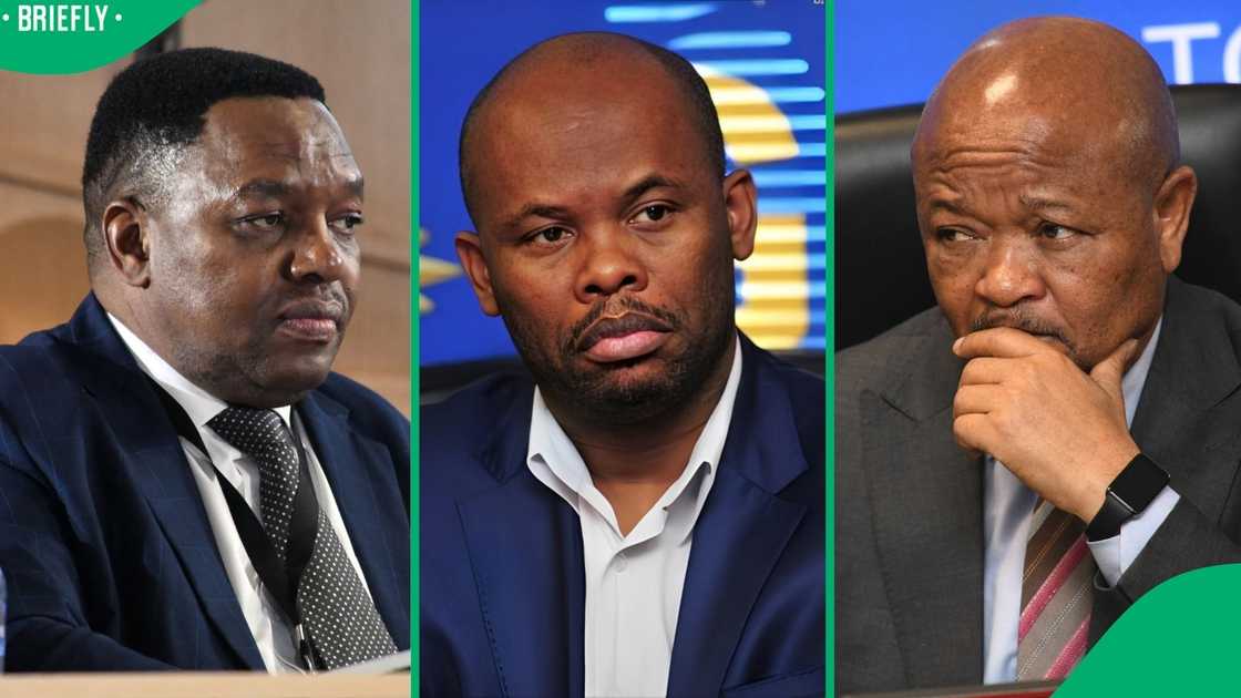 National Commissioner General Fannie Masemola said that Shadrack Sibiya and Senzo Mchunu protected crminal syndicates