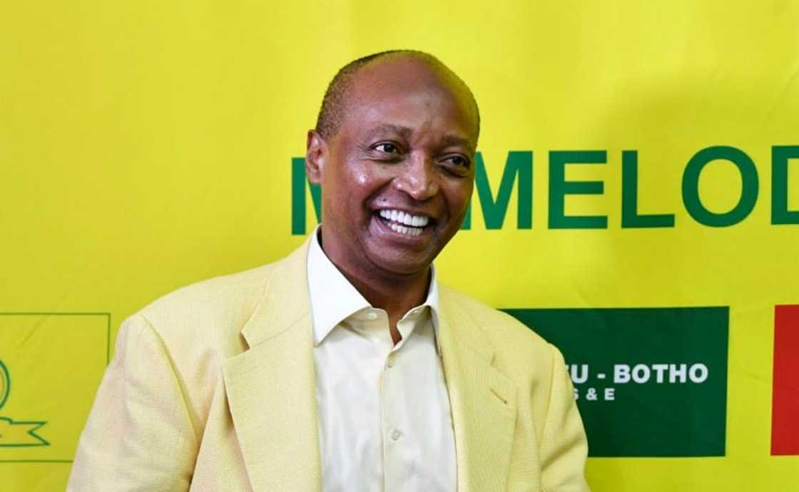 Who owns Mamelodi Sundowns? Who owns Mamelodi Sundowns?