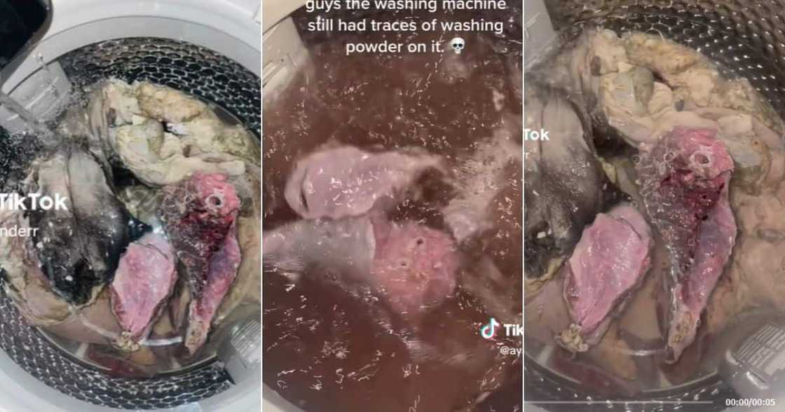 Cleaning tripe in washing machine Cleaning tripe in washing machine