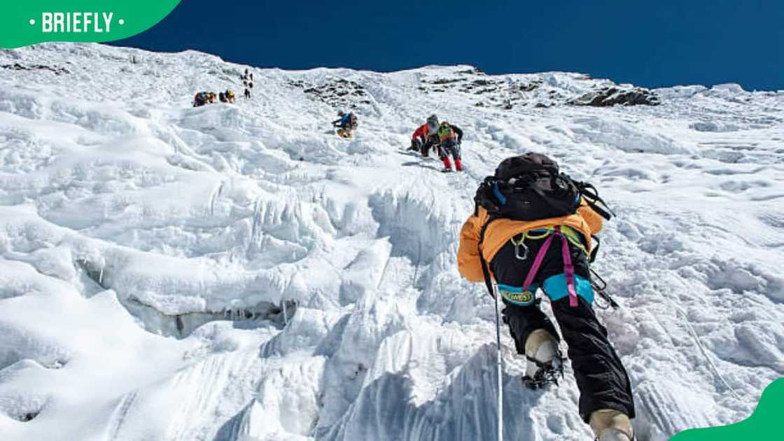 The Climbers climbing the ice wall to the top of Island Peak The Climbers climbing the ice wall to the top of Island Peak