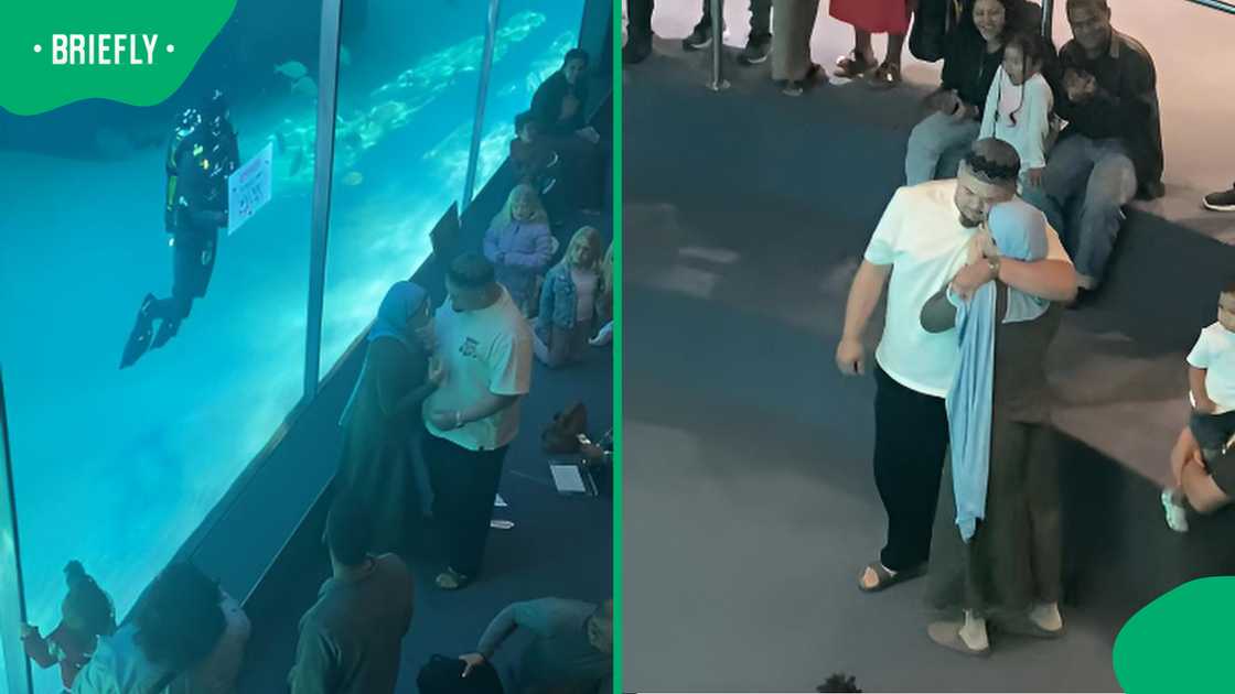 Cape Town aquarium proposal goes viral after scuba diver helps man pop the question
