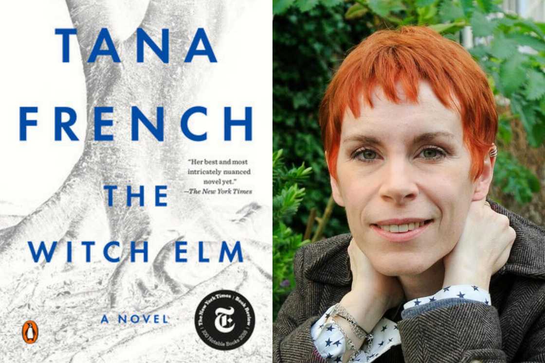 Tana French the Witch Elm book Tana French the Witch Elm book