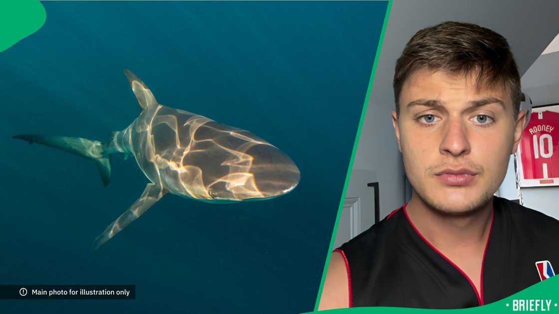 A man caught a shark. A man caught a shark.