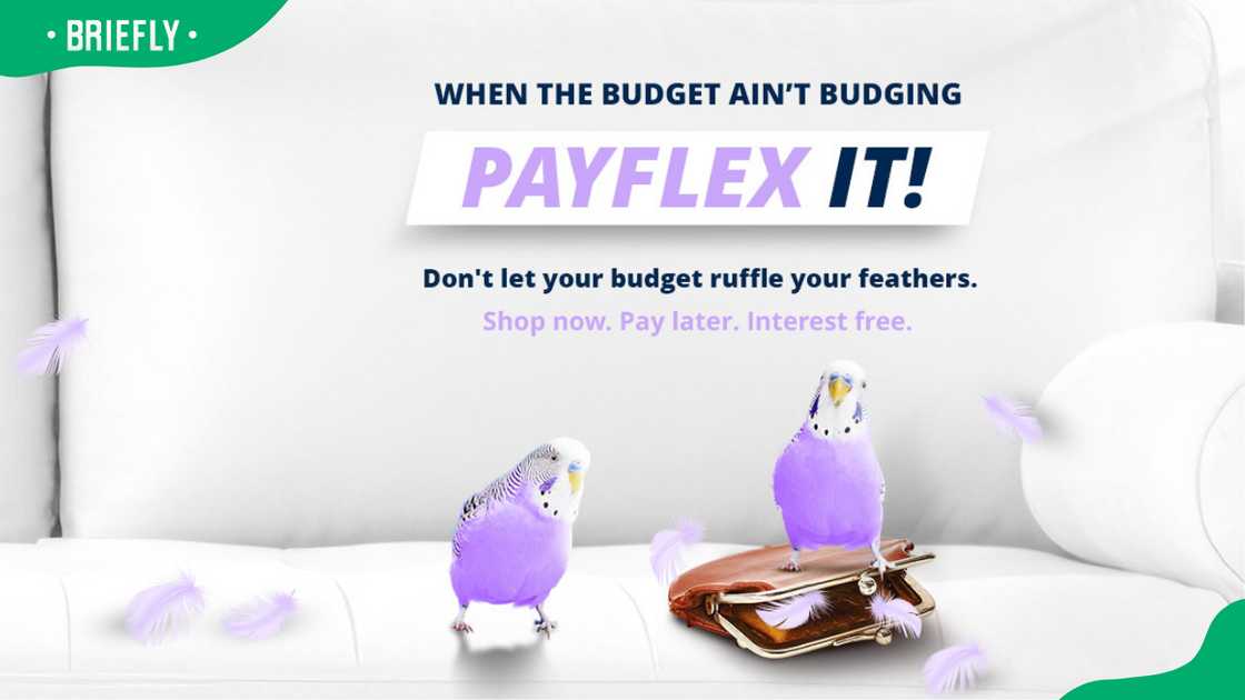 PayFlex South Africa