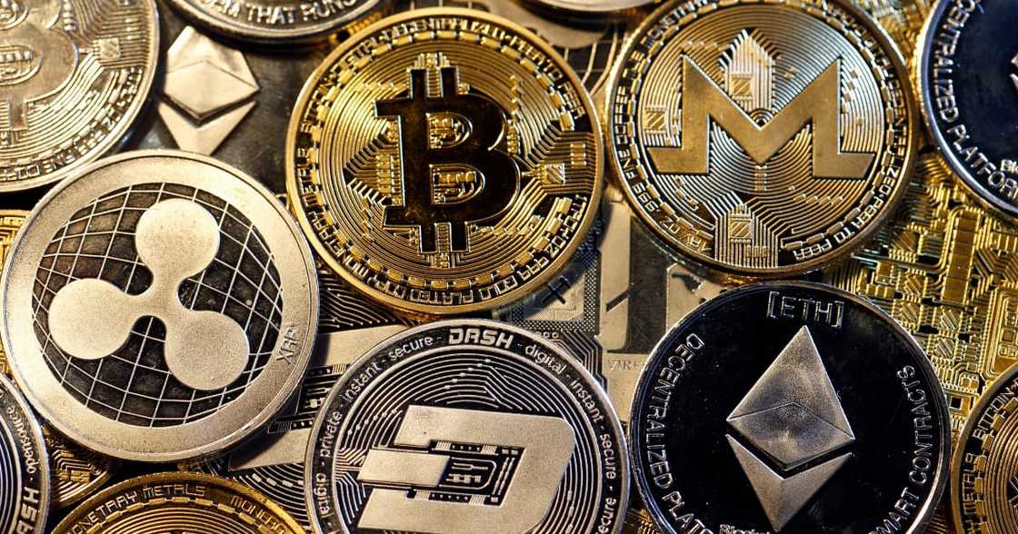 South African Fugitive, Monero Cryptocurrency Developer, Arrested in the United States South African Fugitive, Monero Cryptocurrency Developer, Arrested in the United States