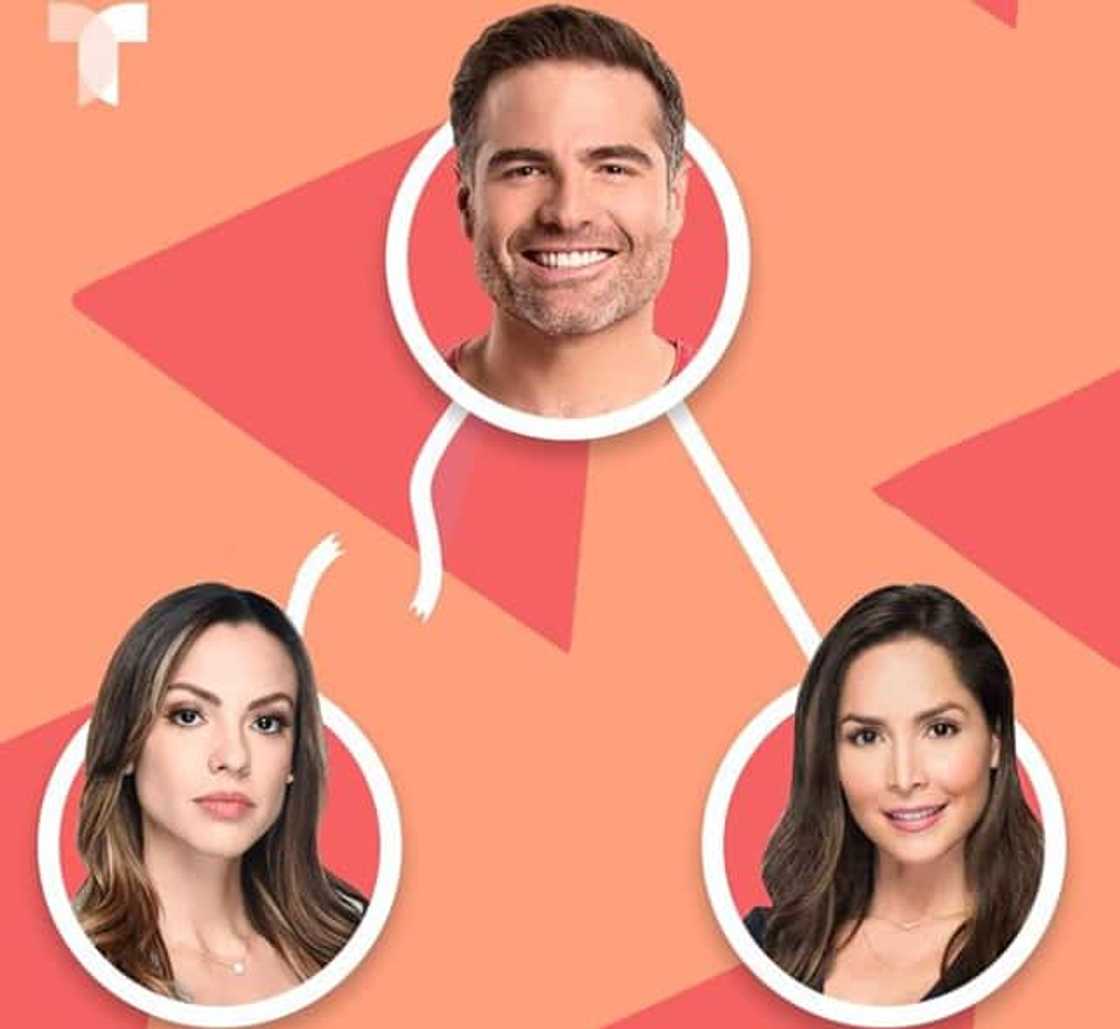 The Way to Paradise episodes The Way to Paradise episodes