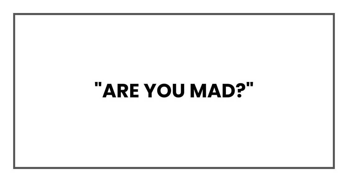 "Are you mad?" "Are you mad?"