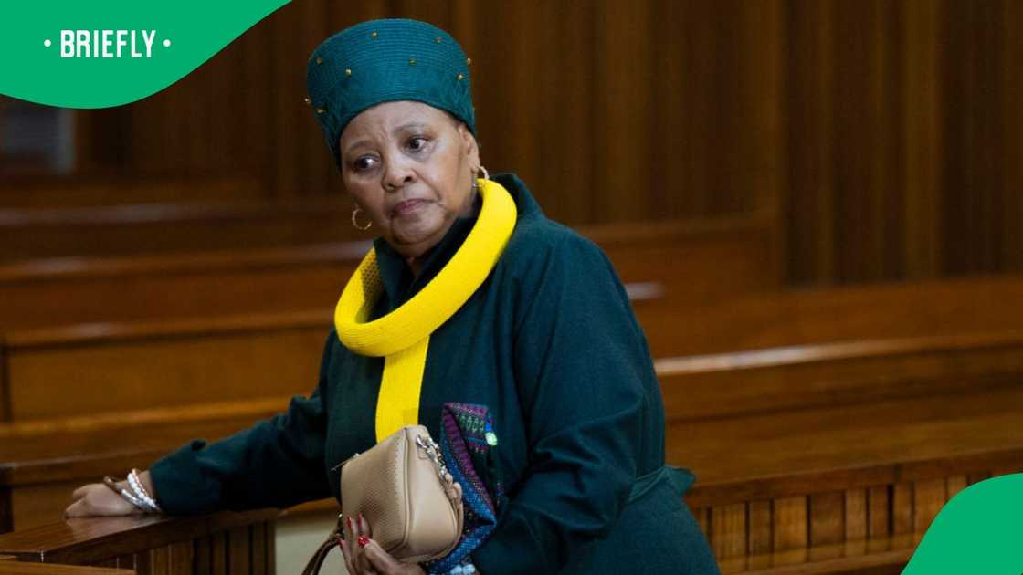 Nosiviwe Mapisa-Nqakula will appear before the Pretoria High Court on charges of corruption