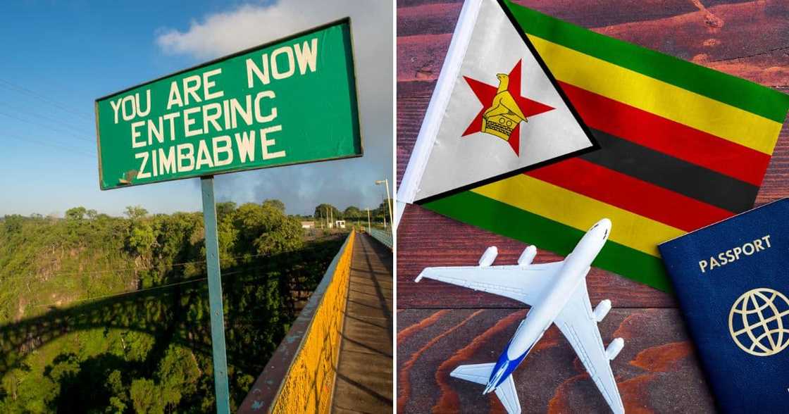 Zimbabwean Exemption permit Zimbabwean Exemption permit