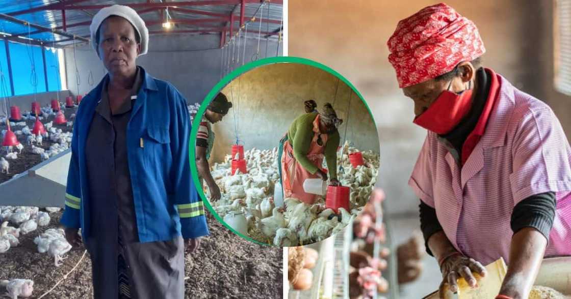 Mpumalanga woman gets help from a rural movement to enhance her skills. Mpumalanga woman gets help from a rural movement to enhance her skills.