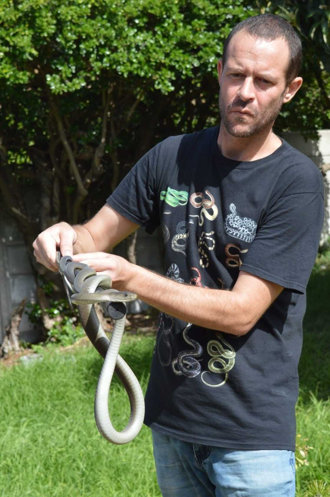 South Africans couldn’t believe their eyes as a snake expert watched rugby with a boomslang.