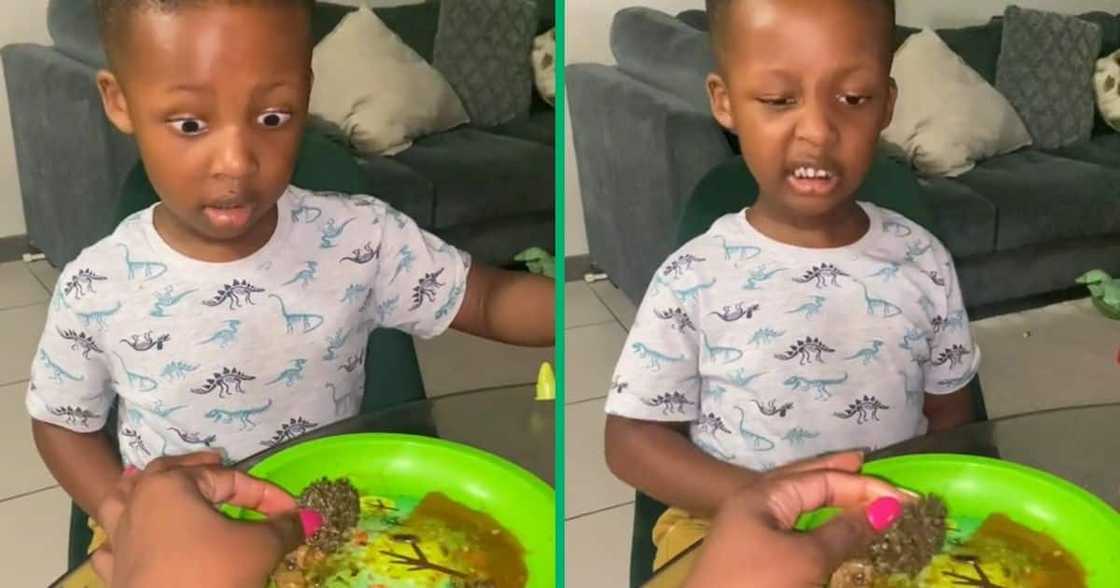 A young boy was disgusted by his mogodu dinner A young boy was disgusted by his mogodu dinner