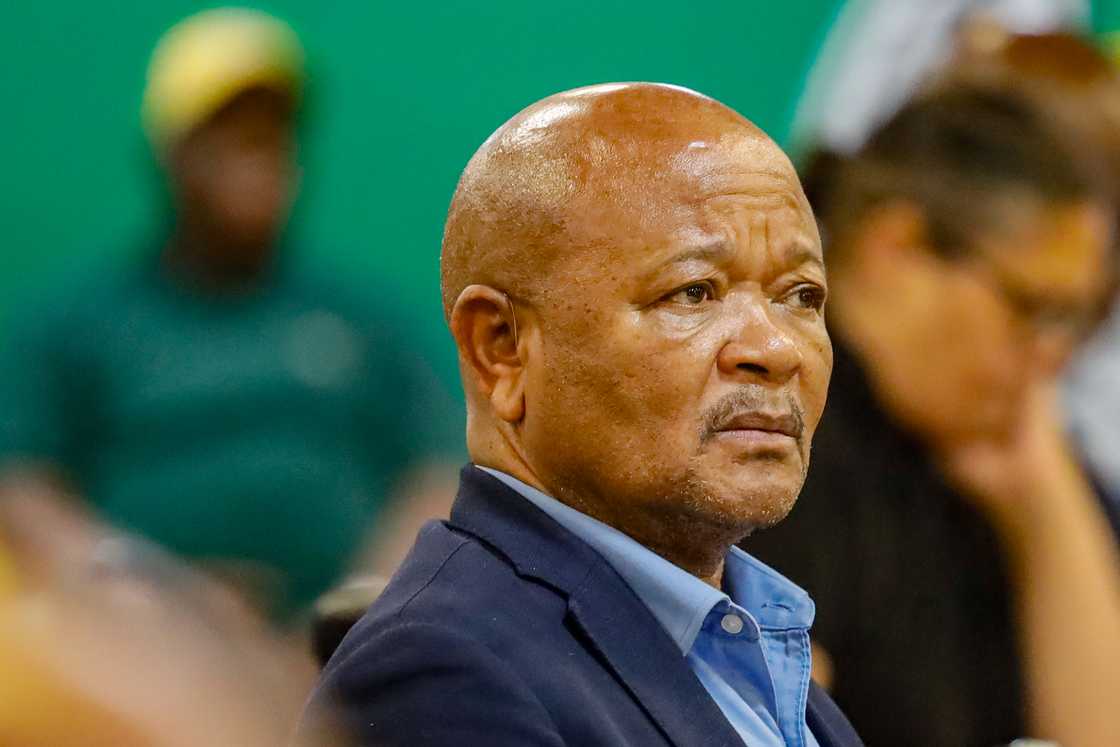 Police Minister Senzo Mchunu will testify before the Ad Hoc Committee