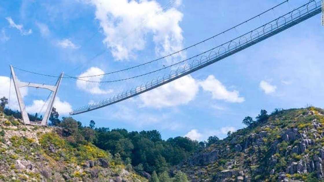 Portugal Impresses the World as It Officially Opens World’s Longest Pedestrian Suspension Bridge