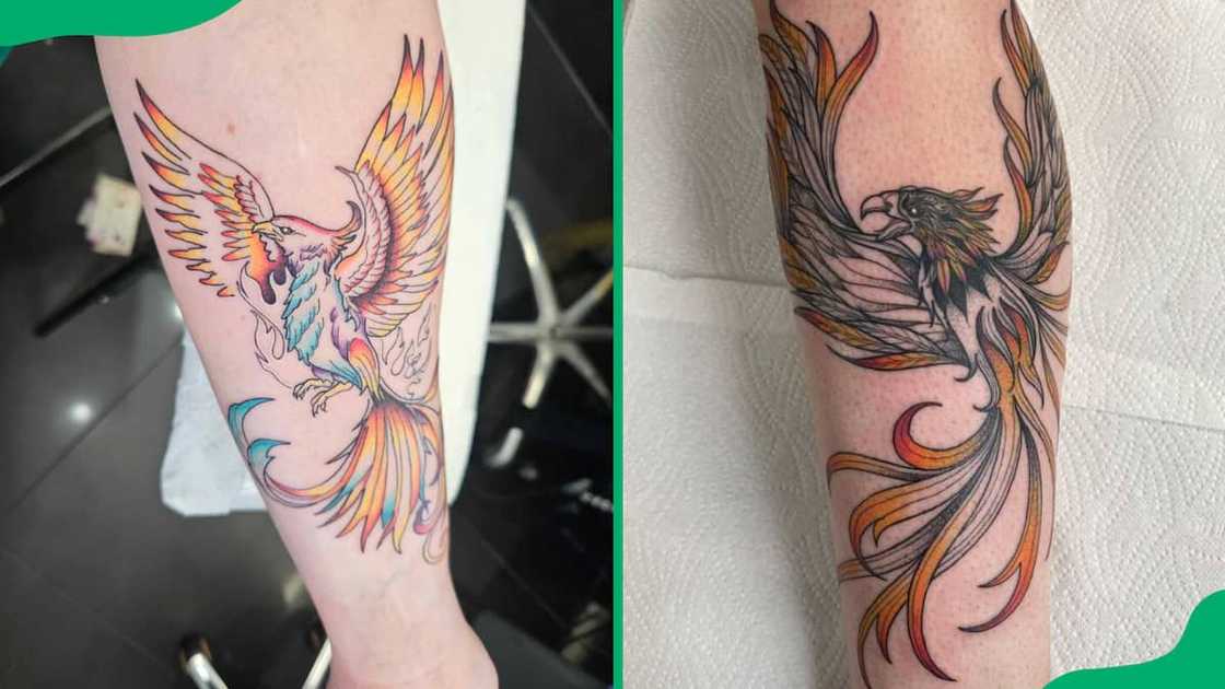 Forearm phoenix tattoo with coloured ends Forearm phoenix tattoo with coloured ends