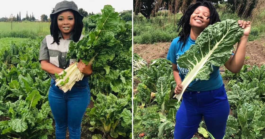 A female spinach farmer who is proud of her labours