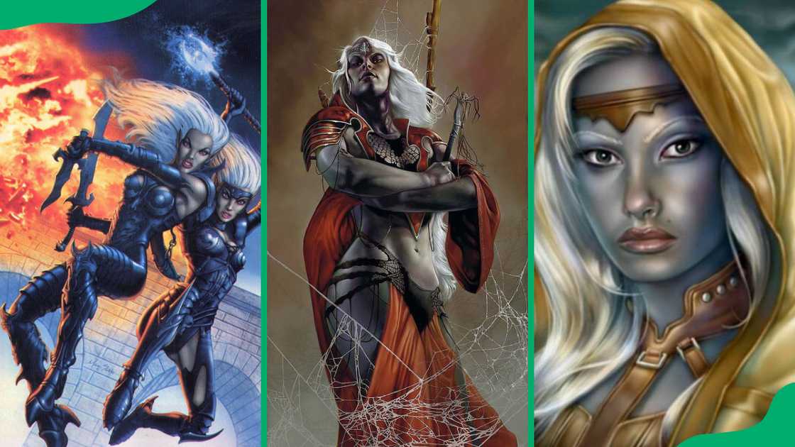 Best female drow Best female drow