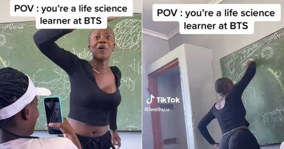 High school life science teacher uses dance to teach. High school life science teacher uses dance to teach.