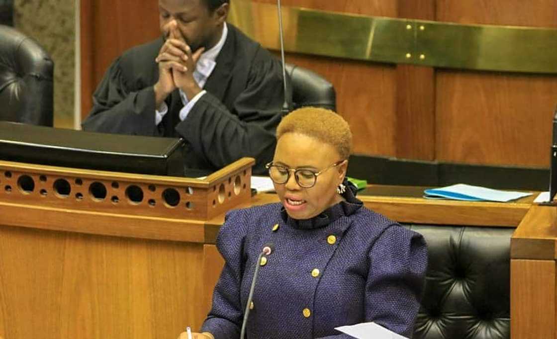 Lindiwe Zulu career