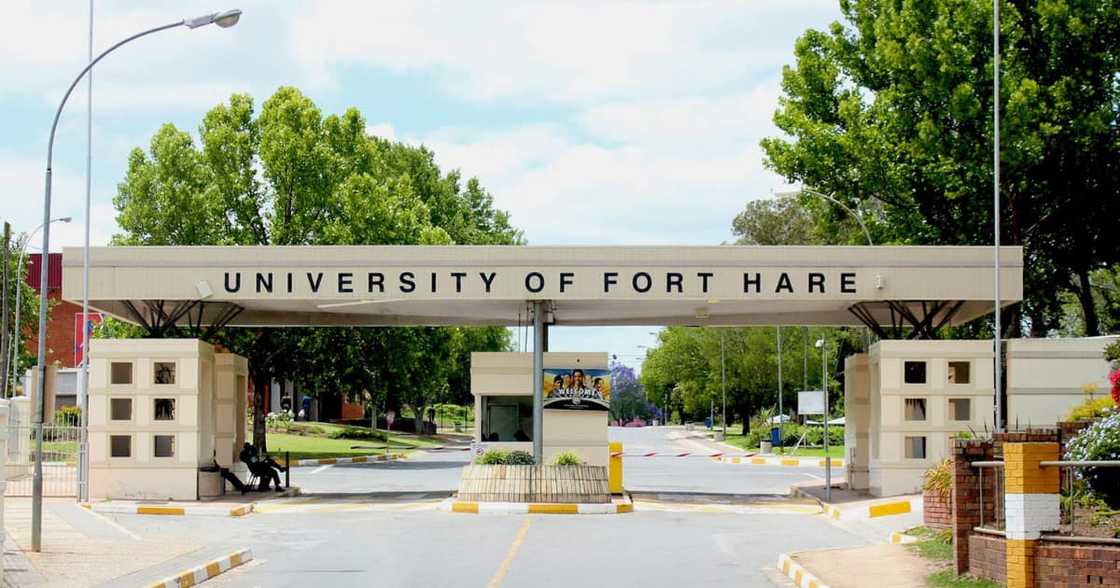 Five men arrested for the murders of Fort Hare University employees Five men arrested for the murders of Fort Hare University employees