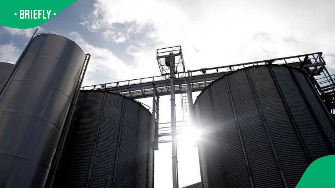 Malt plant Malt plant