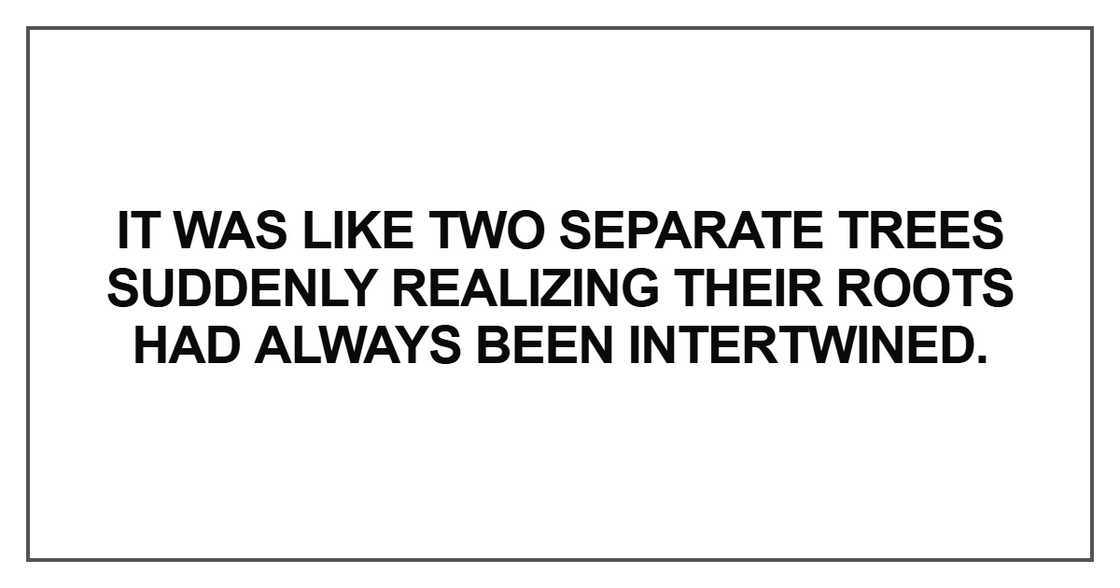 It was like two separate trees suddenly realizing their roots had always It was like two separate trees suddenly realizing their roots had always