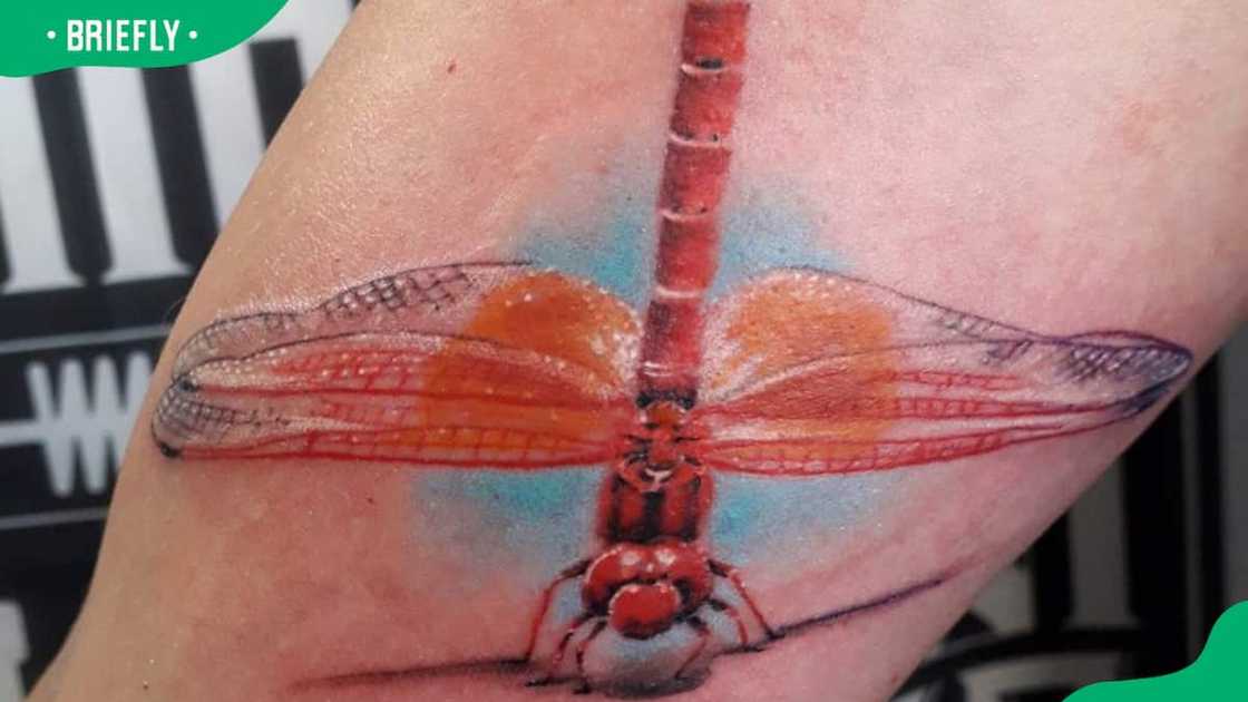Colourful dragonfly tattoo Colourful dragonfly tattoo