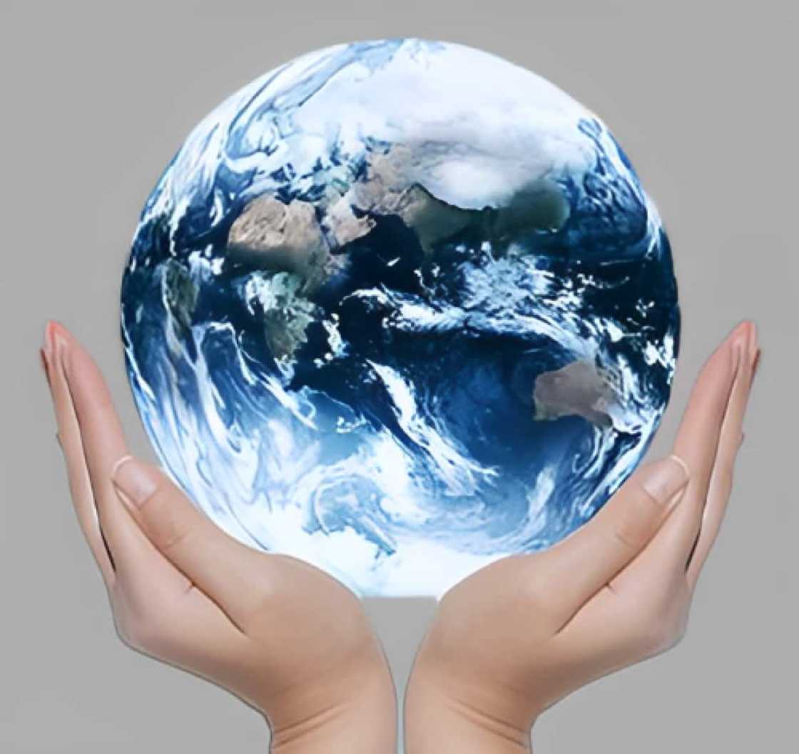 Online surveys in South Africa A list of 20 legitimate portals for