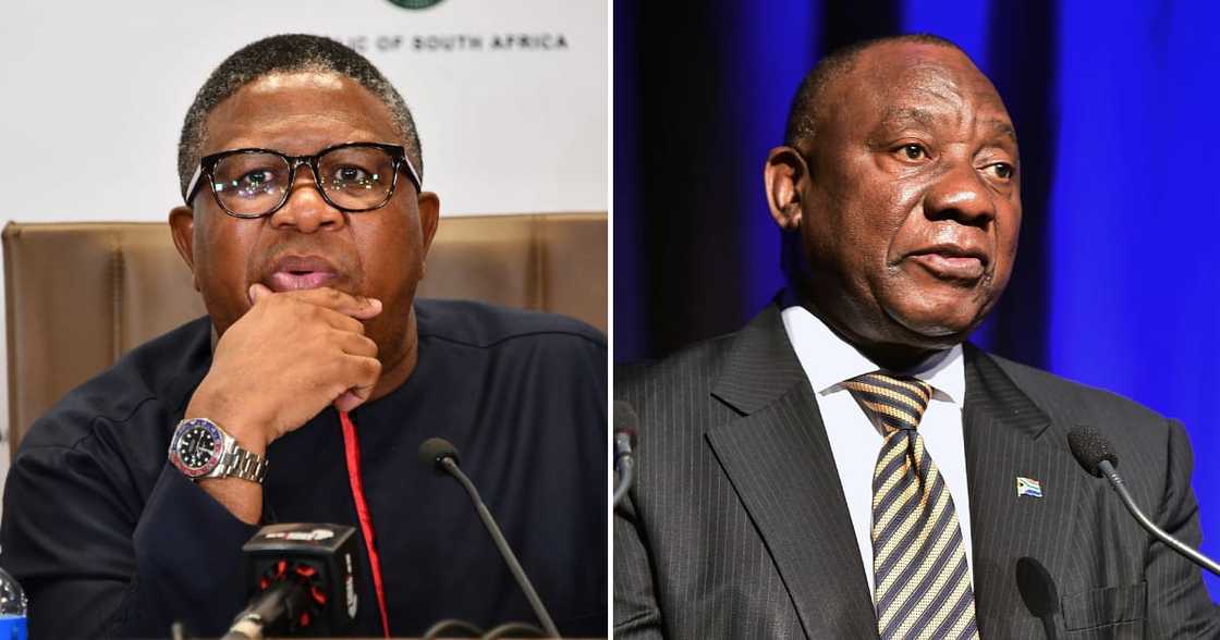 Minister in the Presidency, Mondli Gungubele, says Fikile Mbalula. kicked out, cabinet meeting, President Cyril Ramaphosa Minister in the Presidency, Mondli Gungubele, says Fikile Mbalula. kicked out, cabinet meeting, President Cyril Ramaphosa