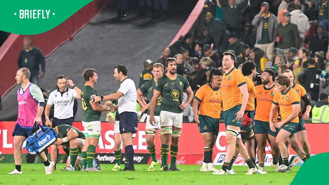 The Springboks and the Wallabies at Ellis Park Stadium.