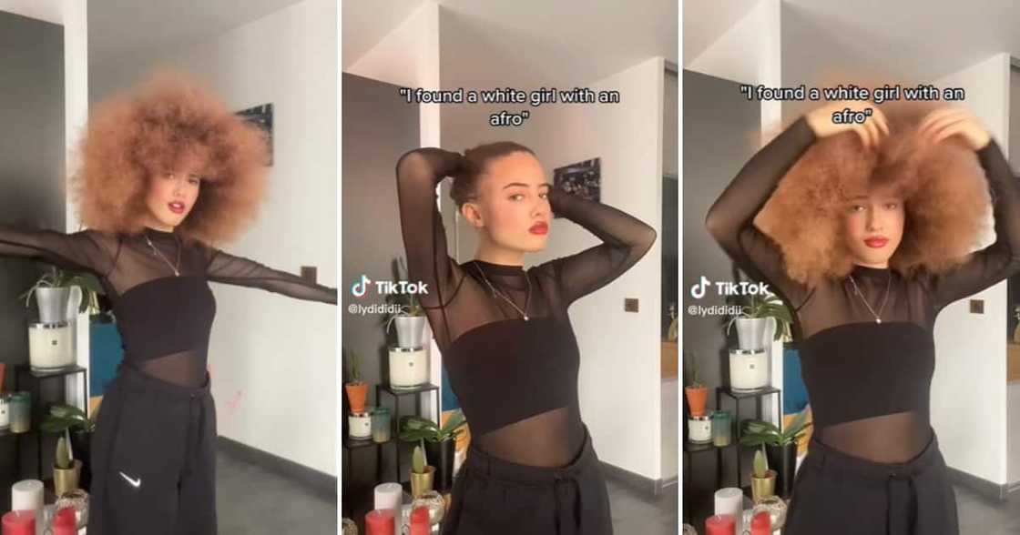 TikTok user @lydididii and her afro TikTok user @lydididii and her afro