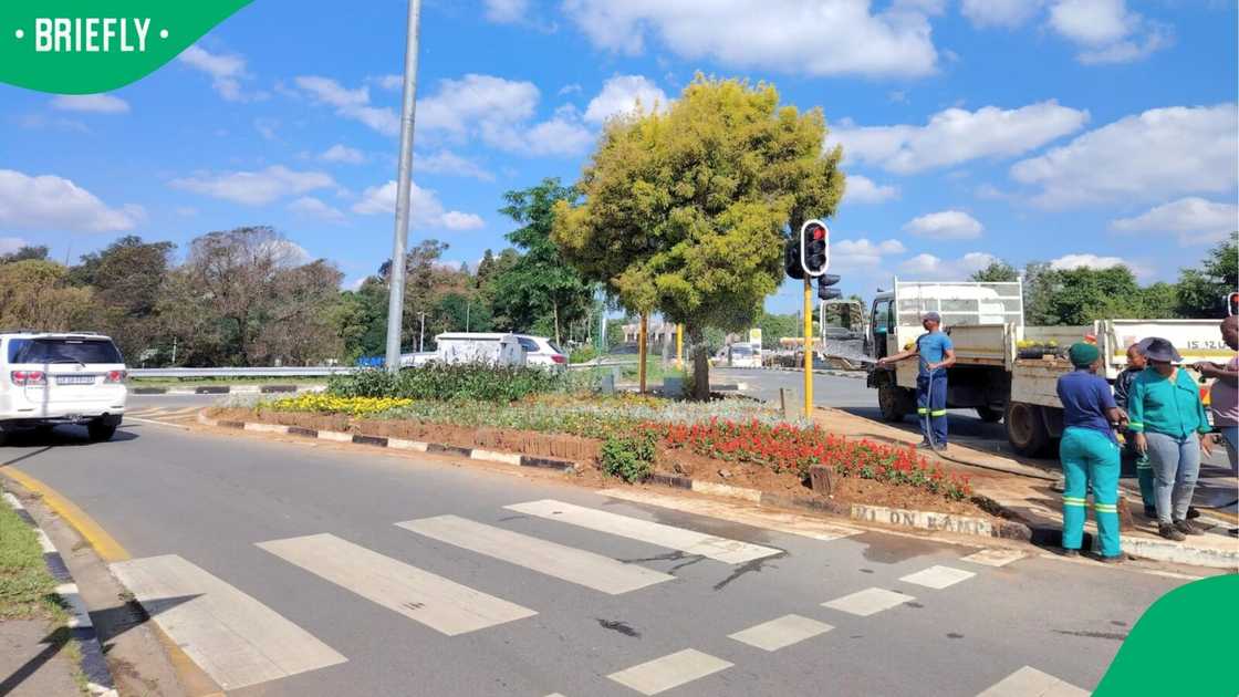 Numerous areas around Johannesburg were beautified ahead of the G20 Numerous areas around Johannesburg were beautified ahead of the G20