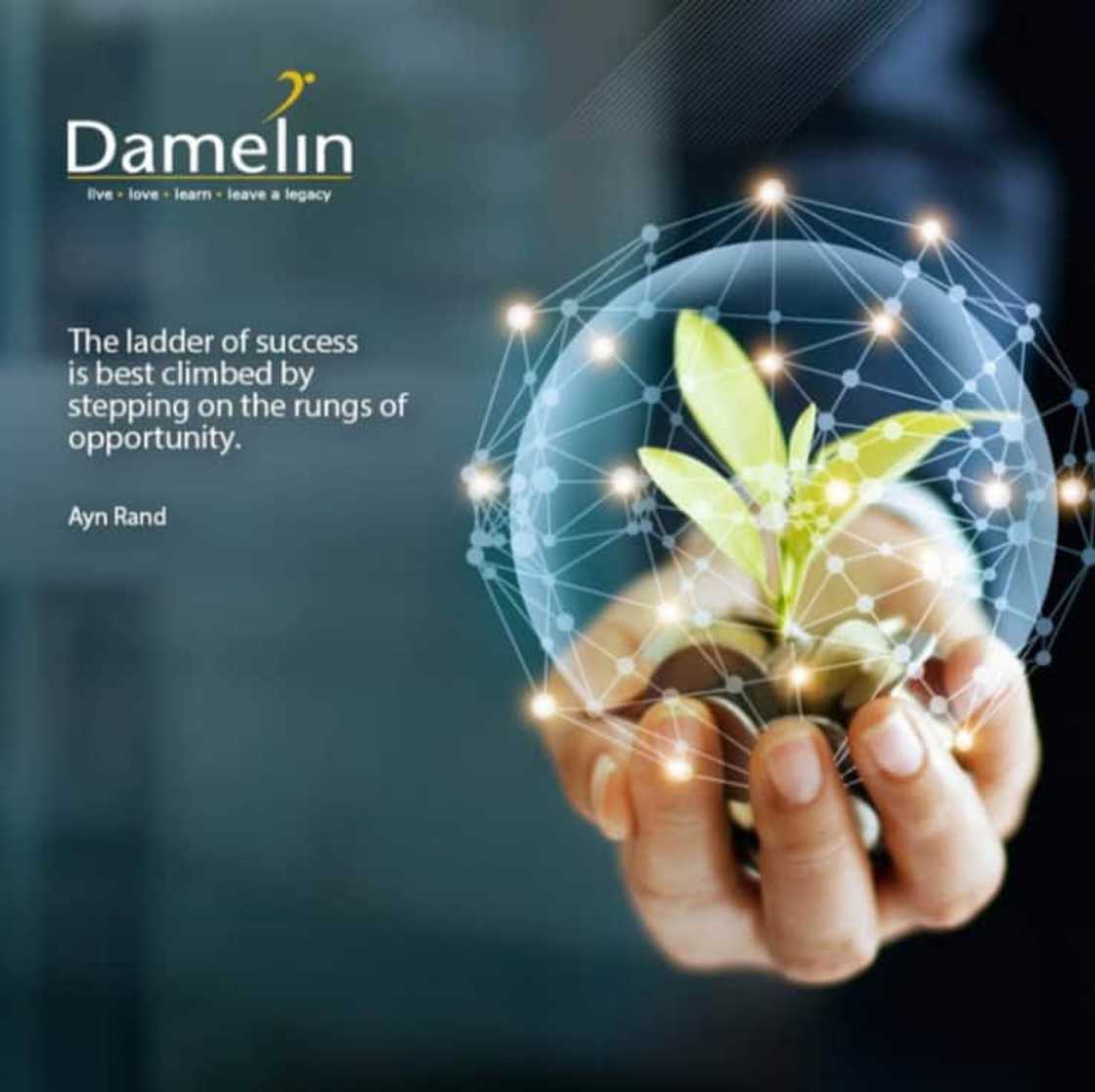 Damelin courses and fees 2021