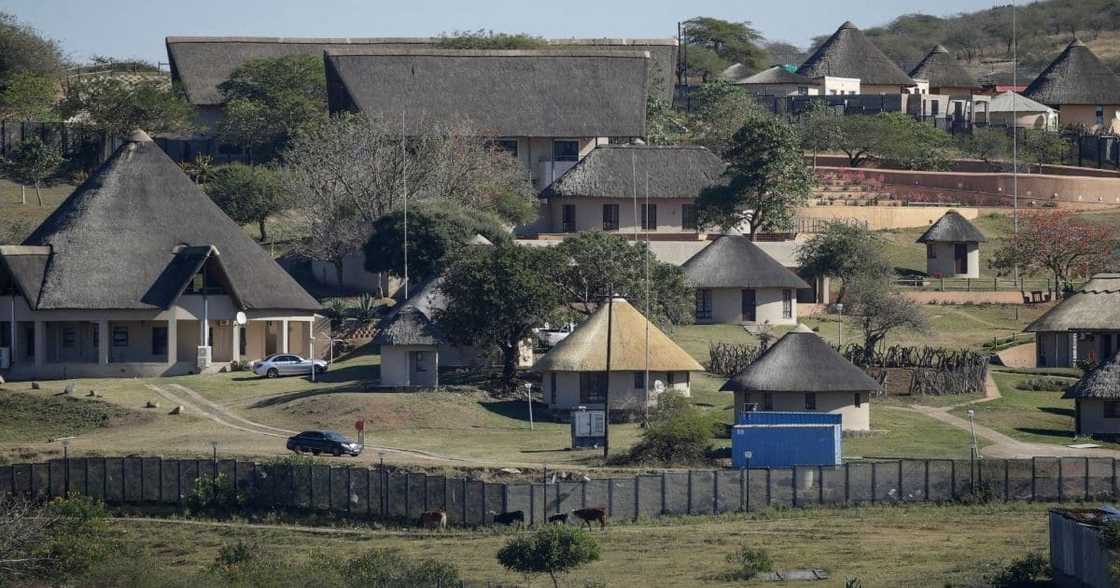 R246 million, upgrade, Nkandla homestead, Jacob Zuma, former South African president, Msholozi, fire pool, viral news, trending news R246 million, upgrade, Nkandla homestead, Jacob Zuma, former South African president, Msholozi, fire pool, viral news, trending news