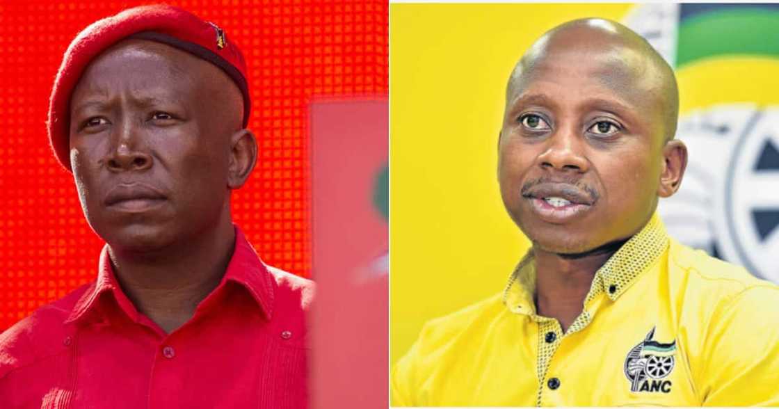 Julius Malema, Andile Lungisa, Gqeberha, PE, Taxi ranks, Nelson Mandela Bay, Eastern Cape, Suspension, Economic Freedom Fighters, EFF, ANC Julius Malema, Andile Lungisa, Gqeberha, PE, Taxi ranks, Nelson Mandela Bay, Eastern Cape, Suspension, Economic Freedom Fighters, EFF, ANC