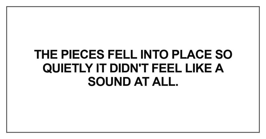 The pieces fell into place The pieces fell into place