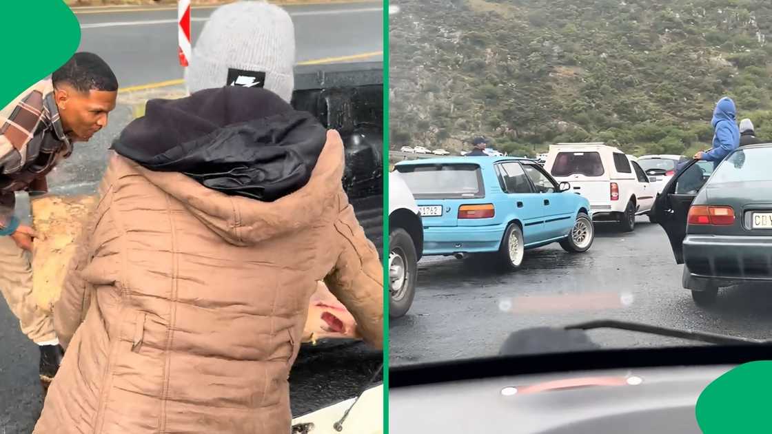 Motorists stopped their cars along the mountain pass to participate in the frantic roadside haul