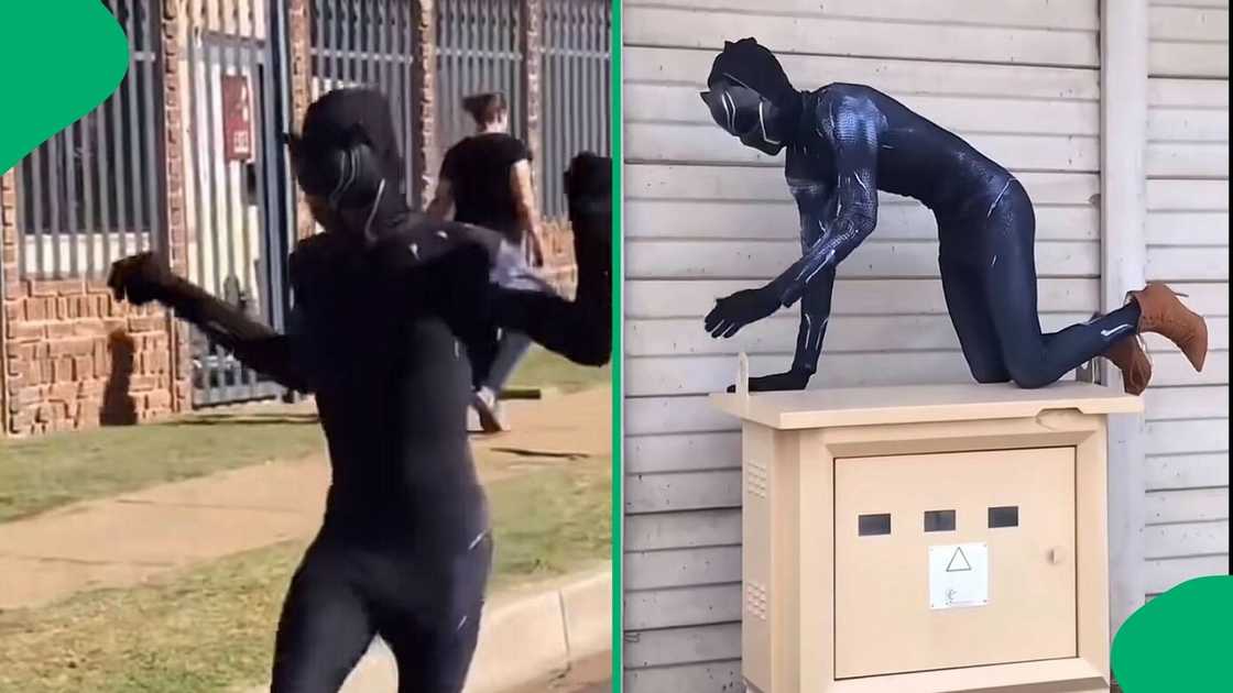 A TikTok Video Shows Black Panther Strolling the Streets of Mzansi. A TikTok Video Shows Black Panther Strolling the Streets of Mzansi.