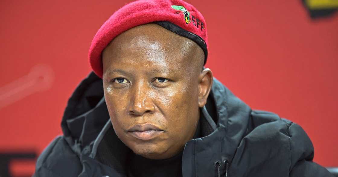 EFF leader Julius Malema at a press conference