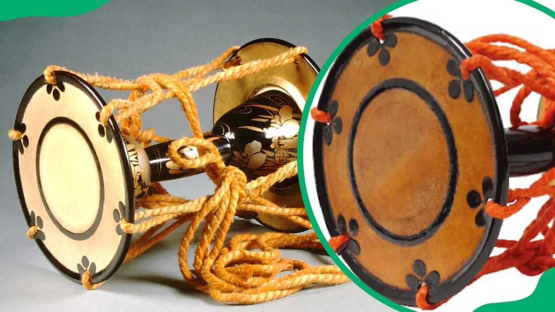 japanese stringed instruments japanese stringed instruments
