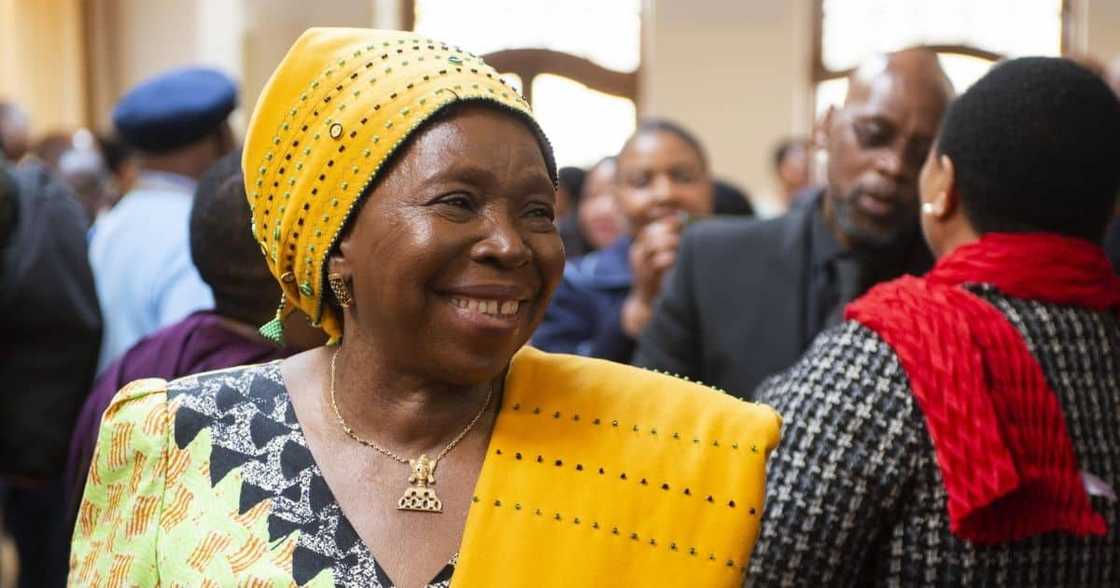 National State of Disaster, Nkosazana Dlamini-Zuma, extended, 20 months