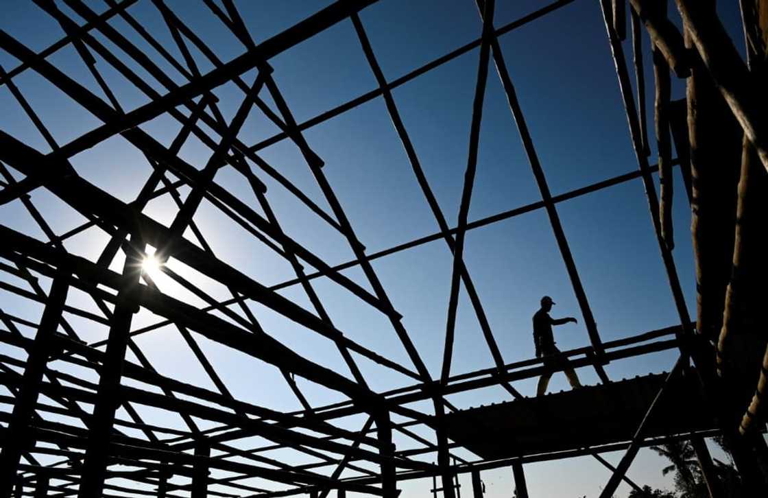 Cuban drying houses, with roofs of palm leaves or tin, allow the leaves to dry gradually without losing their flexibility Cuban drying houses, with roofs of palm leaves or tin, allow the leaves to dry gradually without losing their flexibility