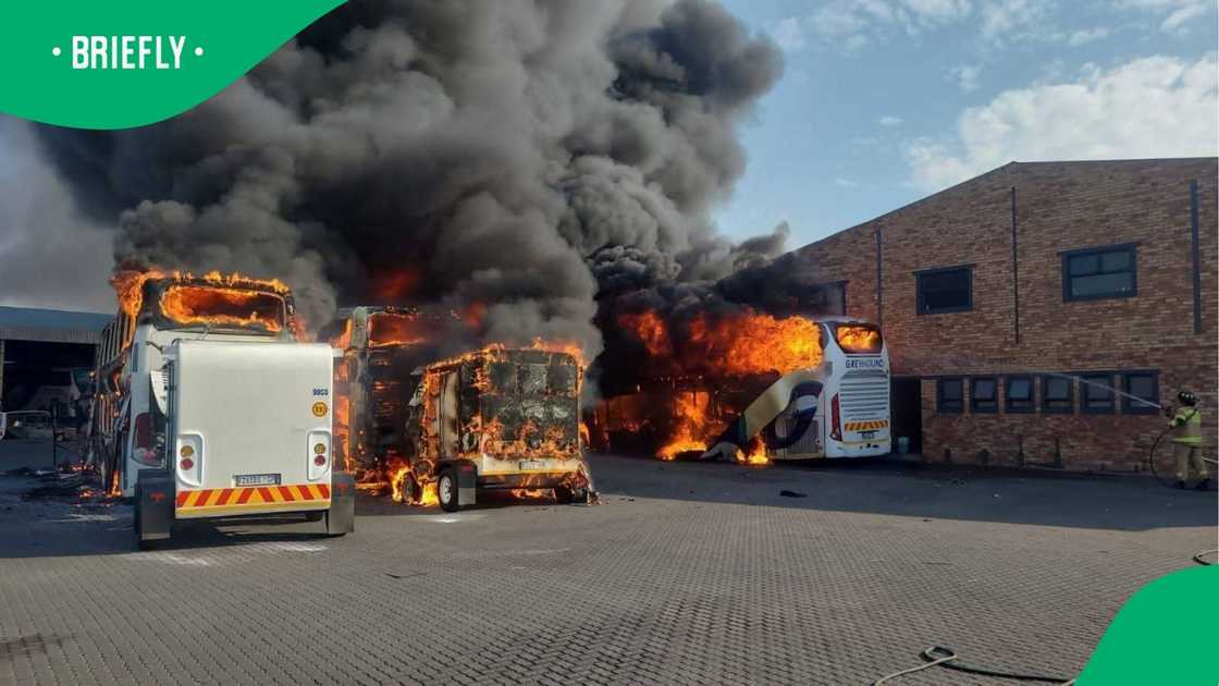 Three Greyhound buses were destroyed in a Boksburg fire Three Greyhound buses were destroyed in a Boksburg fire