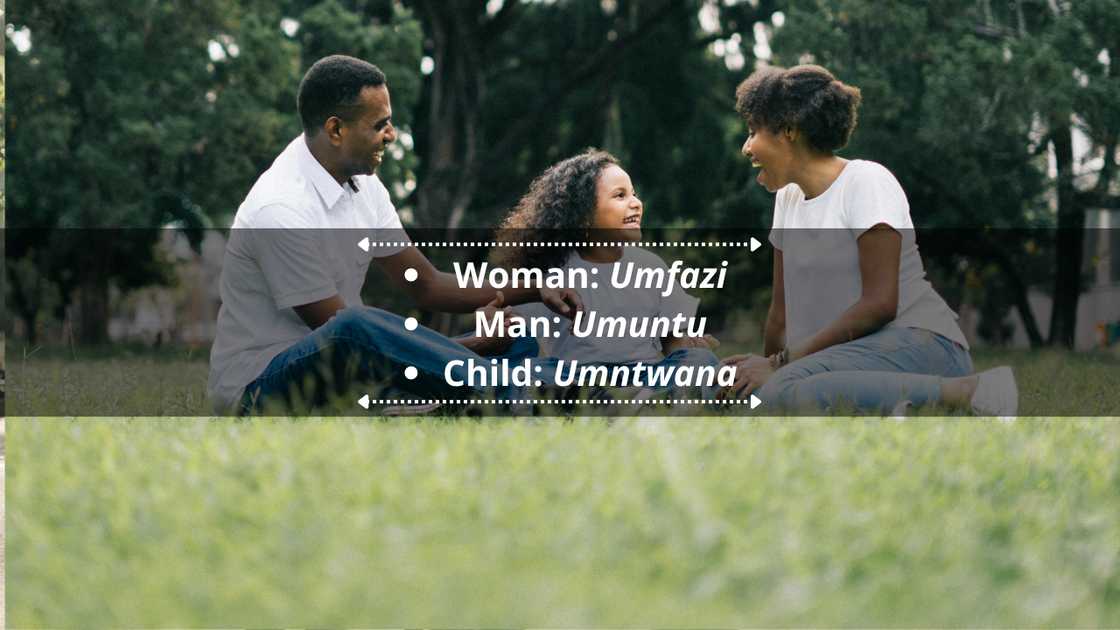 Zulu proverbs and quotes