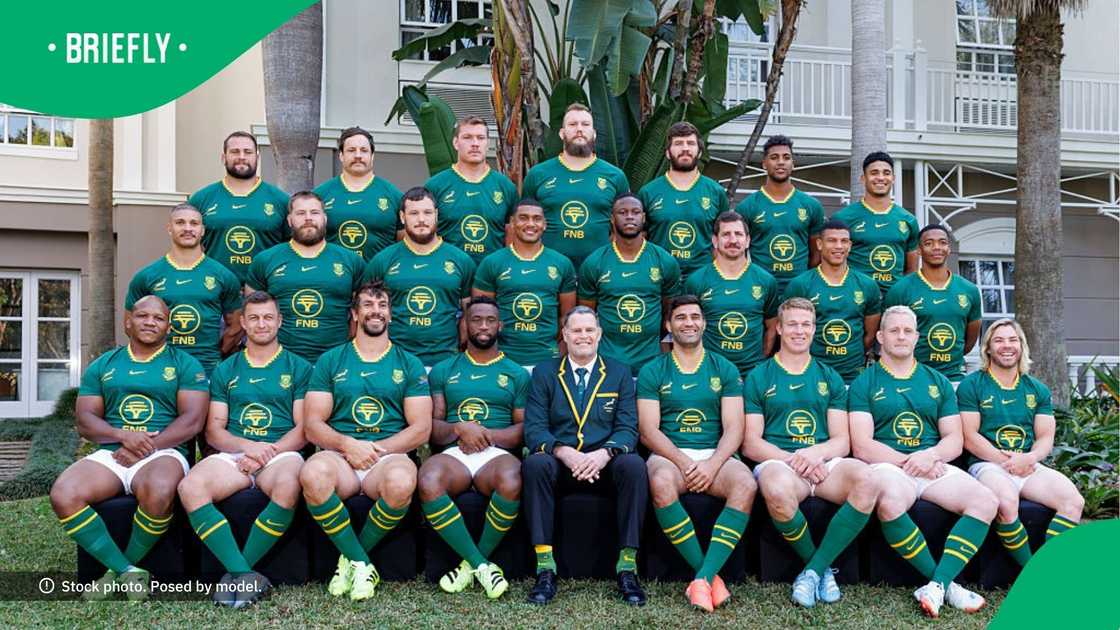 Impressing Mzansi with its creative patriotism, a Pick n Pay milktart that featured a precisely dusted Springbok emblem stencilled in cinnamon went viral on Reddit Impressing Mzansi with its creative patriotism, a Pick n Pay milktart that featured a precisely dusted Springbok emblem stencilled in cinnamon went viral on Reddit